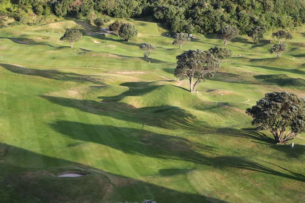 The Short Course